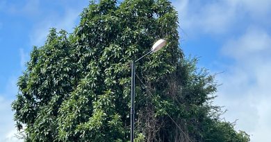Iluminação Publica na Rua da Amizade Iluminação Publica na Rua da Amizade