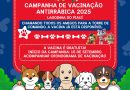 Campanha de vacinação antirrábica começa dia 15/09 e vai até 30/09 em Lagoinha do Piauí