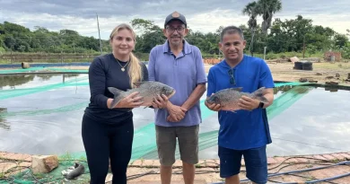 Prefeitura de Lagoinha do Piauí distribuiu mais de 3 mil quilos de peixe para a População