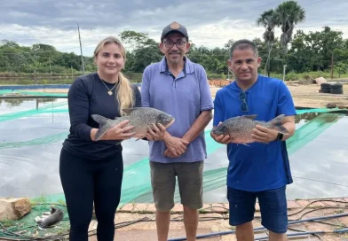 Prefeitura de Lagoinha do Piauí distribuiu mais de 3 mil quilos de peixe para a População