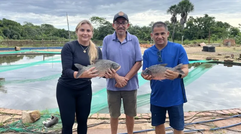 Prefeitura de Lagoinha do Piauí distribuiu mais de 3 mil quilos de peixe para a População
