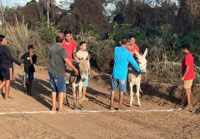 Corrida de Jumento e jogos de vôlei movimentam os Festejos do Bairro Fio em Lagoinha do Piauí