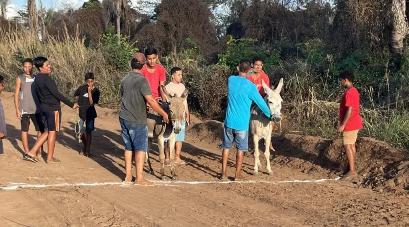 Corrida de Jumento e jogos de vôlei movimentam os Festejos do Bairro Fio em Lagoinha do Piauí